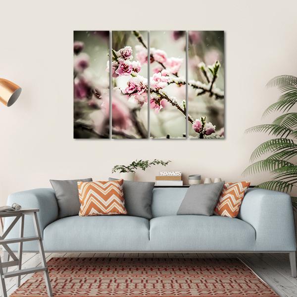 Snow-dusted Peach Blossoms Canvas Wall Art in white, gray and pink, hung on a wall