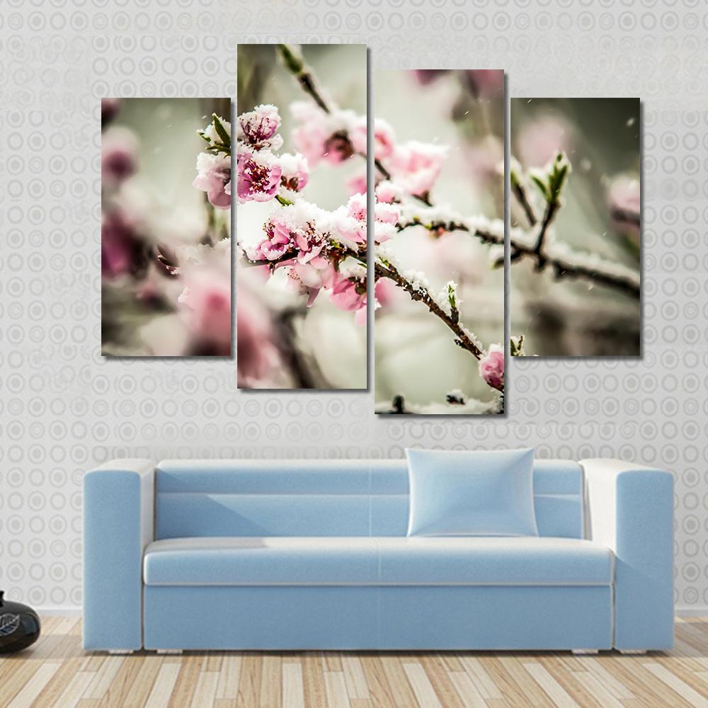 Peach Blossom Covered In Snow Canvas Wall Art-4 Pop-Gallery Wrap-50" x 32"-Tiaracle