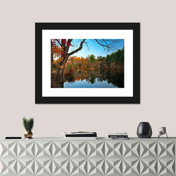 Peak Fall Foliage At Pine Grove Canvas Wall Art-1 Piece-Framed Print-20" x 16"-Tiaracle