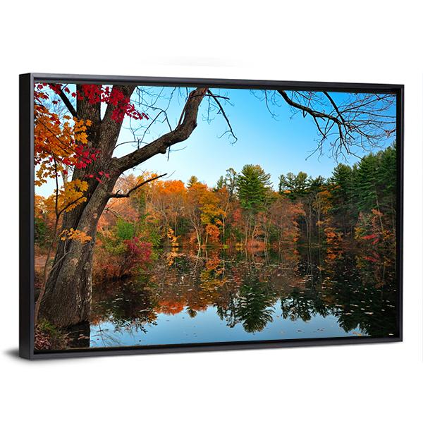 Peak Fall Foliage At Pine Grove Canvas Wall Art-3 Horizontal-Gallery Wrap-25" x 16"-Tiaracle