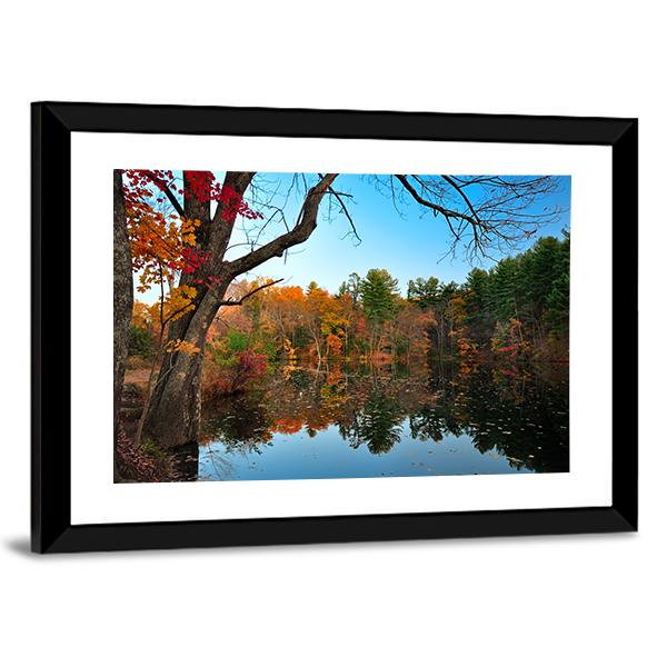 Peak Fall Foliage At Pine Grove Canvas Wall Art-3 Horizontal-Gallery Wrap-25" x 16"-Tiaracle