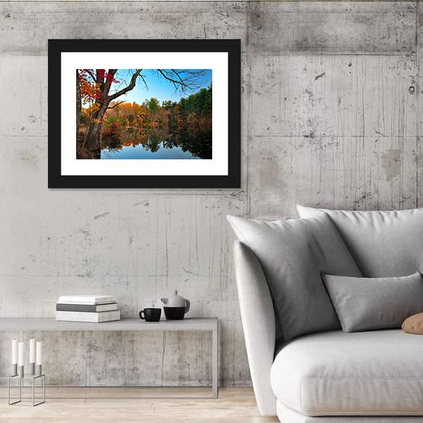 Peak Fall Foliage At Pine Grove Canvas Wall Art-3 Horizontal-Gallery Wrap-25" x 16"-Tiaracle