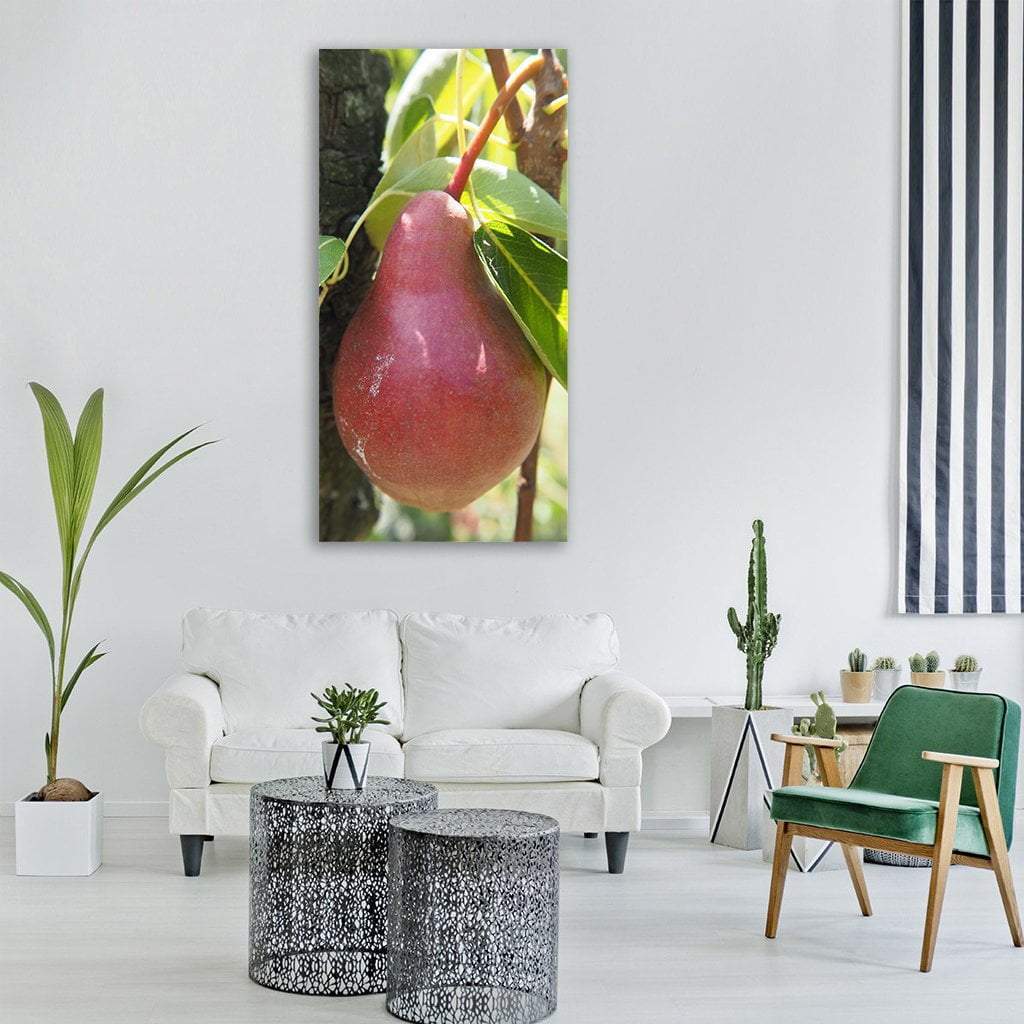 Pear Fruit In Garden Vertical Canvas Wall Art-1 Vertical-Gallery Wrap-12" x 24"-Tiaracle