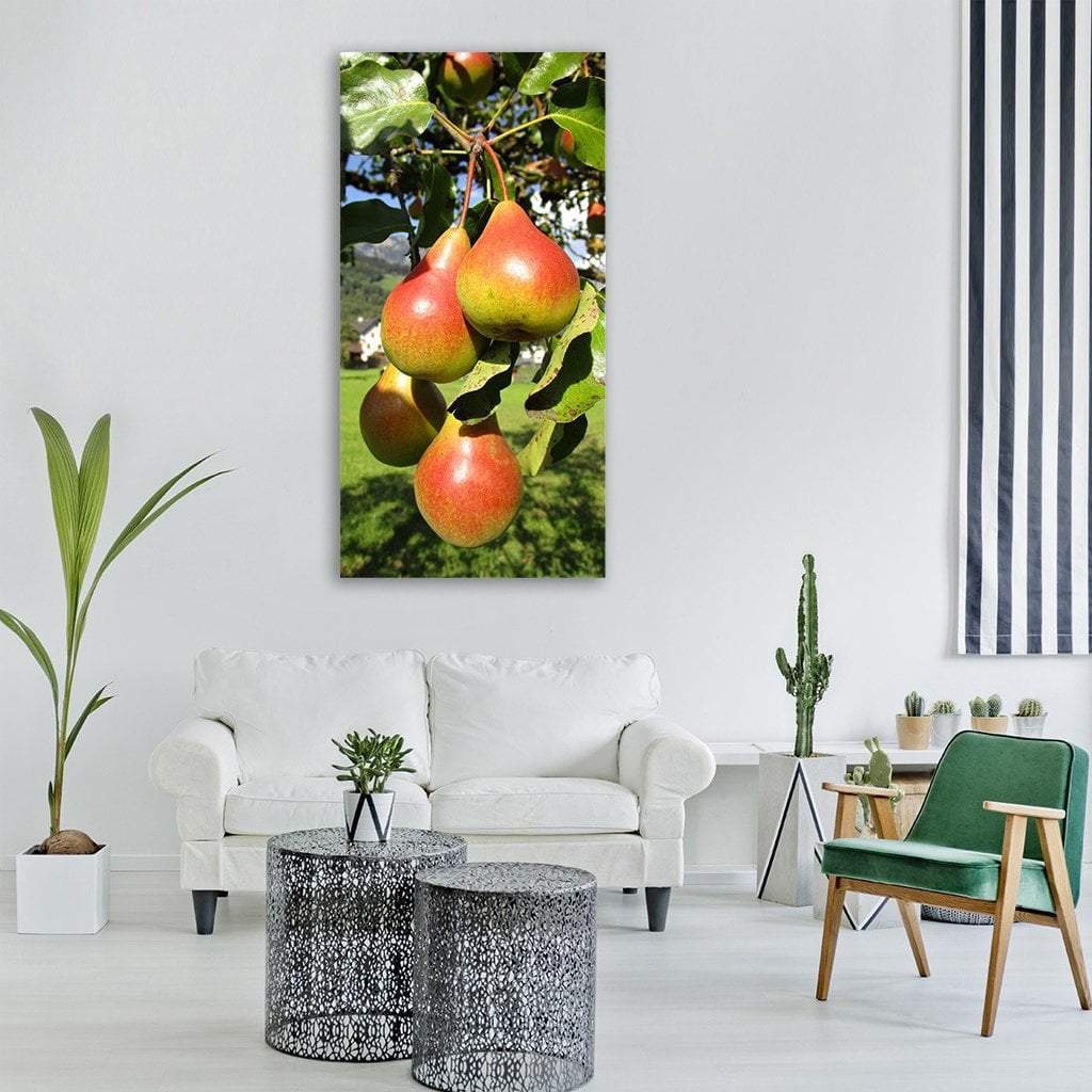 Pear Fruit With Healthy Vitamins Vertical Canvas Wall Art-3 Vertical-Gallery Wrap-12" x 25"-Tiaracle