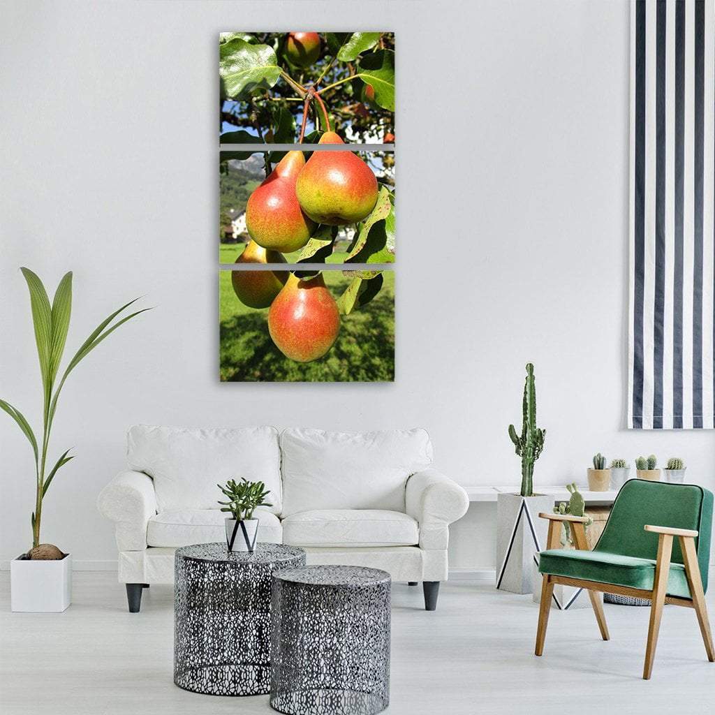 Pear Fruit With Healthy Vitamins Vertical Canvas Wall Art-3 Vertical-Gallery Wrap-12" x 25"-Tiaracle