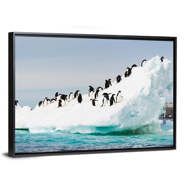 Penguins Colony On Iceberg Antarctica Canvas Wall Art-3 Horizontal-Gallery Wrap-25" x 16"-Tiaracle