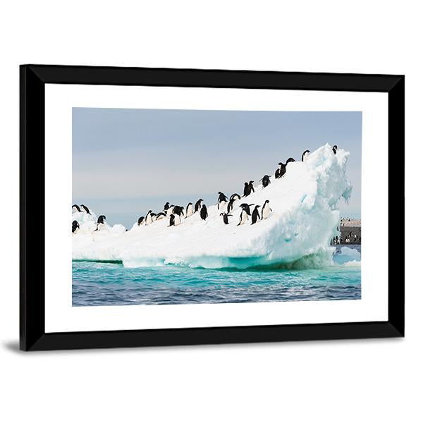 Penguins Colony On Iceberg Antarctica Canvas Wall Art-3 Horizontal-Gallery Wrap-25" x 16"-Tiaracle