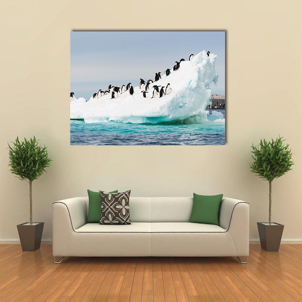 Penguin Colony on Antarctic Iceberg Canvas Wall Art in black, white and blue, single panel hung on a wall