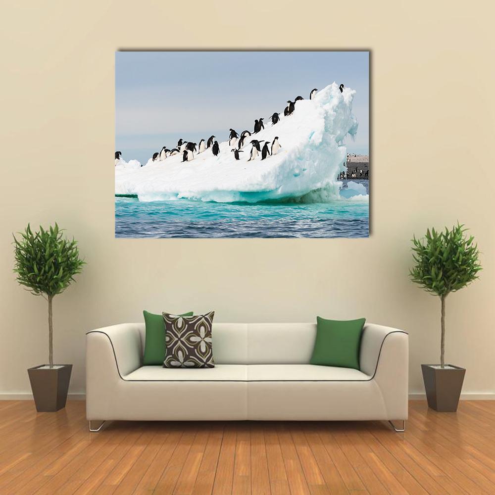 Penguins Colony On Iceberg Antarctica Canvas Wall Art-4 Horizontal-Gallery Wrap-34" x 24"-Tiaracle