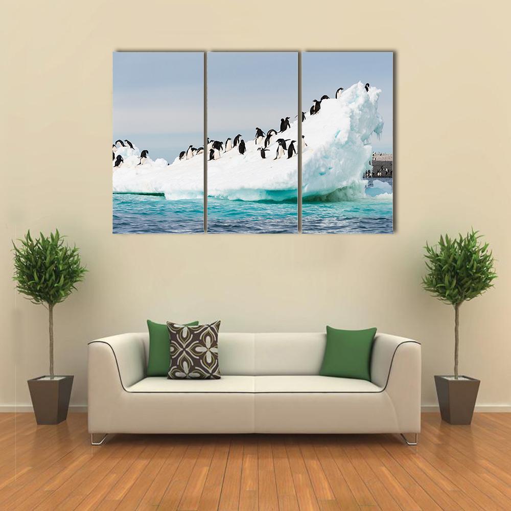 Penguins Colony On Iceberg Antarctica Canvas Wall Art-3 Horizontal-Gallery Wrap-25" x 16"-Tiaracle