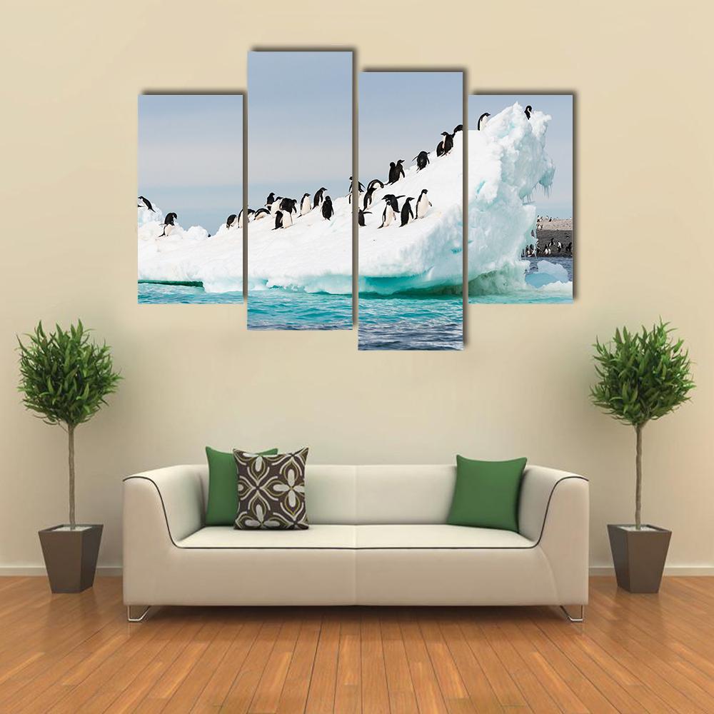 Penguins Colony On Iceberg Antarctica Canvas Wall Art-4 Pop-Gallery Wrap-34" x 20"-Tiaracle