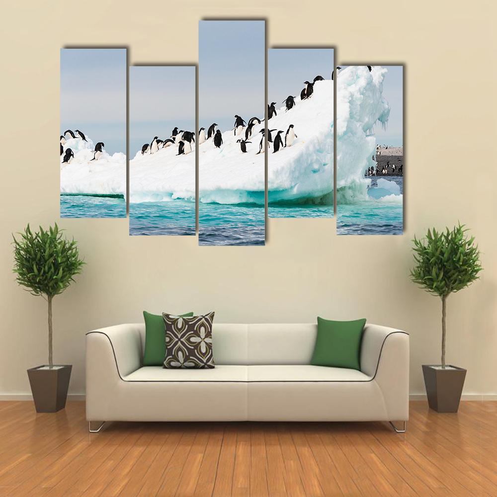 Penguins Colony On Iceberg Antarctica Canvas Wall Art-5 Pop-Gallery Wrap-32" x 21"-Tiaracle