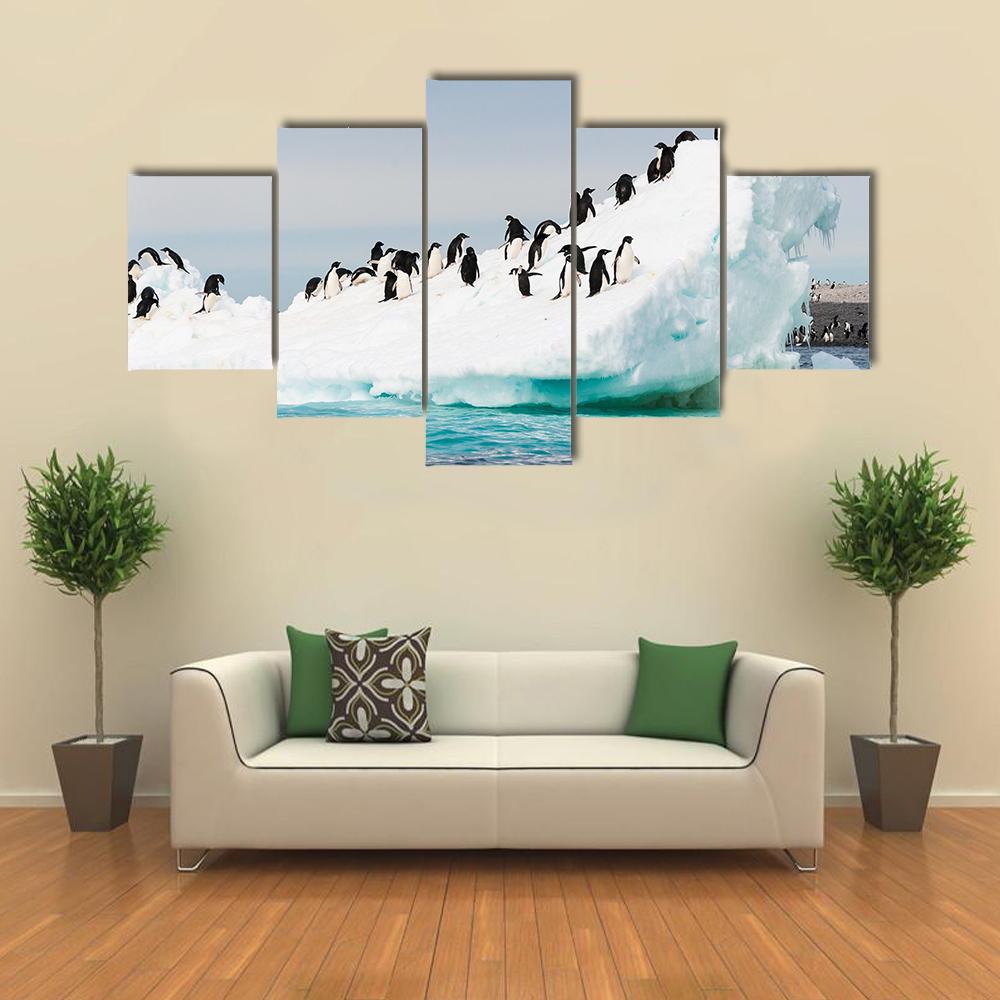 Penguins Colony On Iceberg Antarctica Canvas Wall Art-5 Star-Gallery Wrap-42" x 21"-Tiaracle