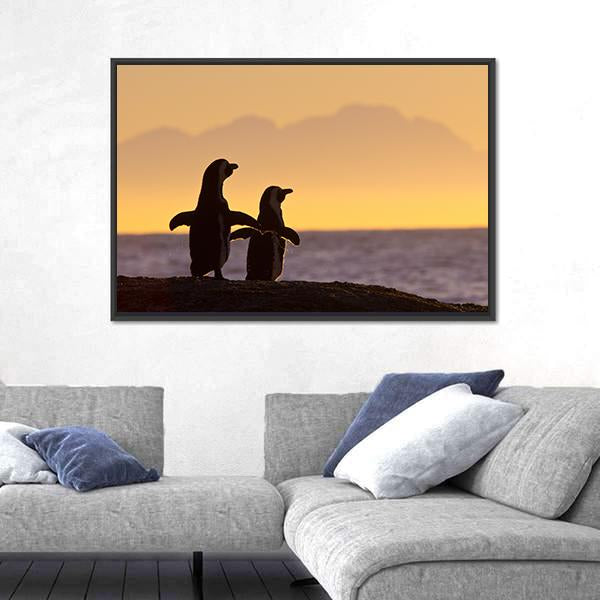 Penguins Near Cape Town Canvas Wall Art-3 Horizontal-Gallery Wrap-25" x 16"-Tiaracle