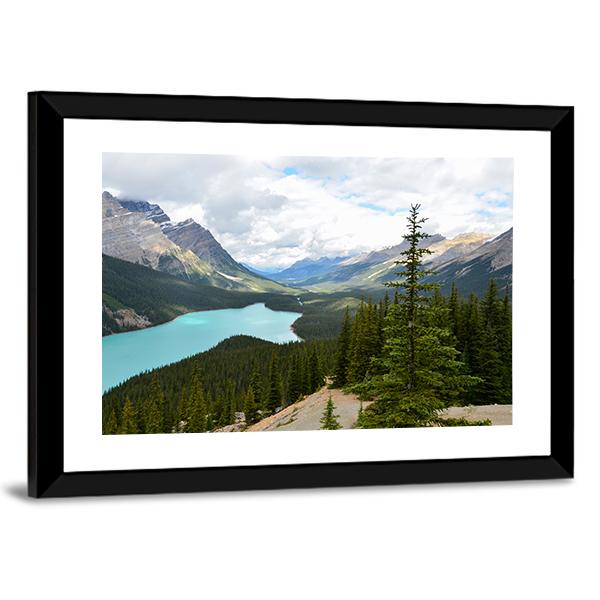 Peyto Lake Canada Panoramic Canvas Wall Art-1 Piece-36" x 12"-Tiaracle