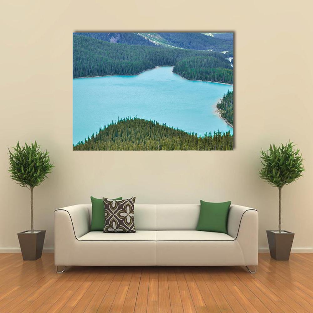 Peyto Lake with Turquoise Waters Canvas Wall Art in green and blue, single panel hung on a wall