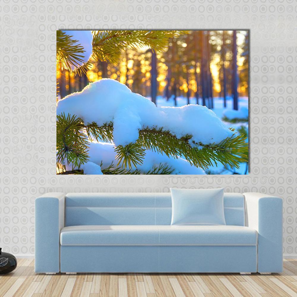 Pine Branch in Snow Winter Sunset Canvas Wall Art in white, yellow and green, single panel hung on a wall