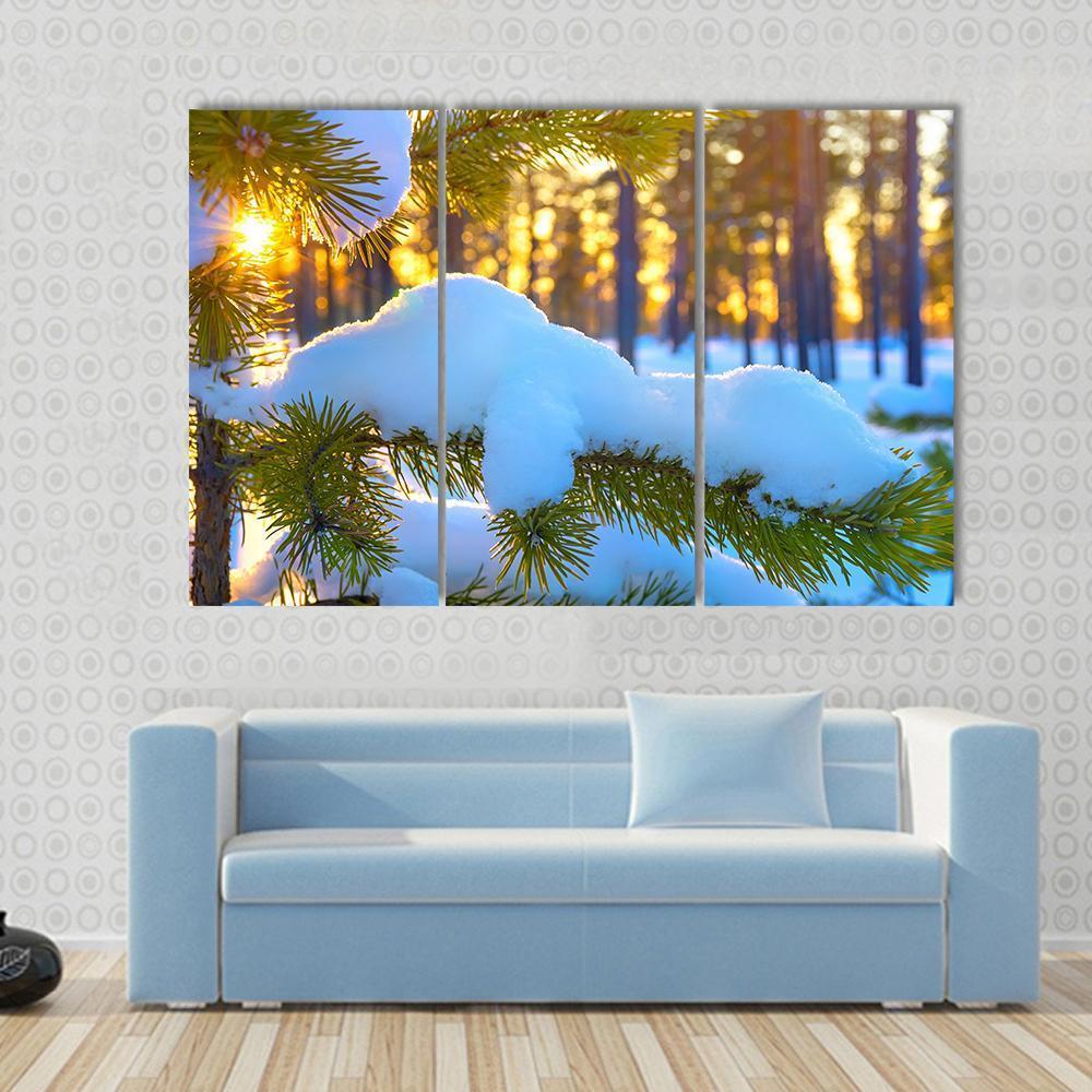 Pine Branch In Snow Winter Sunset In The Forest Canvas Wall Art-5 Pop-Gallery Wrap-47" x 32"-Tiaracle