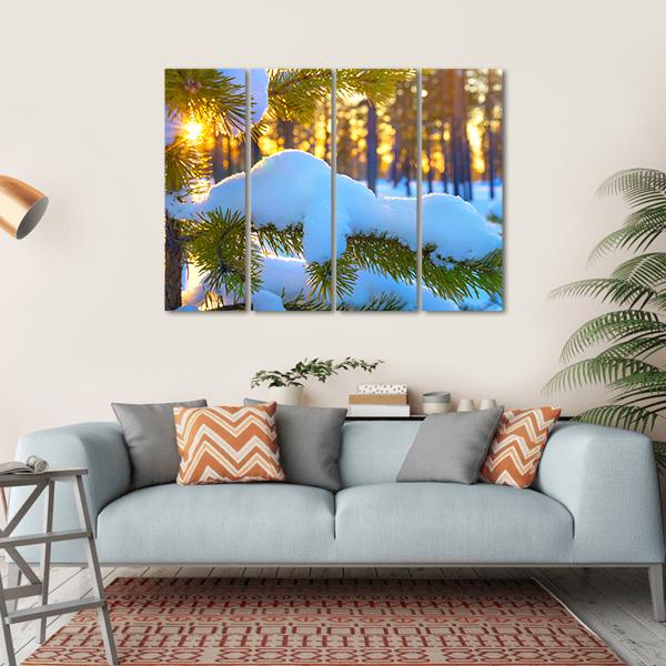 Pine Branch In Snow Winter Sunset In The Forest Canvas Wall Art-4 Horizontal-Gallery Wrap-34" x 24"-Tiaracle