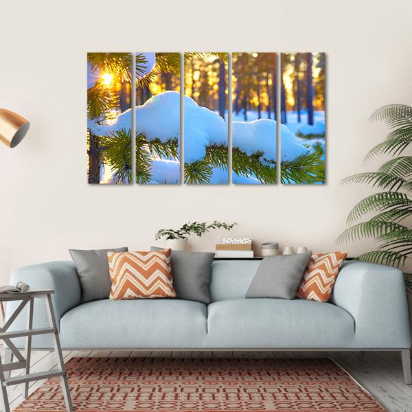 Pine Branch In Snow Winter Sunset In The Forest Canvas Wall Art-5 Horizontal-Gallery Wrap-22" x 12"-Tiaracle
