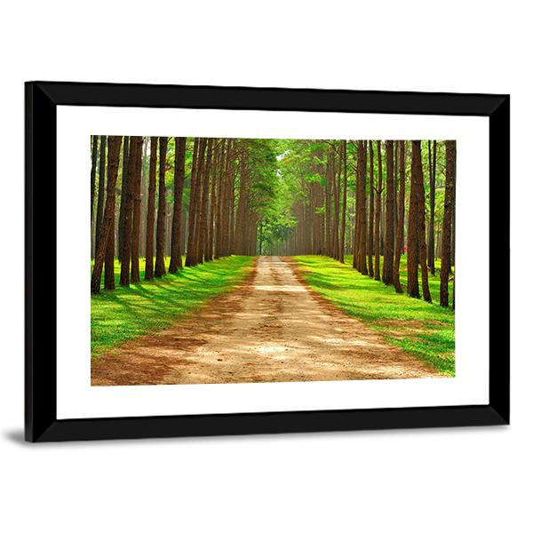 Pine Forest In Thailand Canvas Wall Art-3 Horizontal-Gallery Wrap-25" x 16"-Tiaracle
