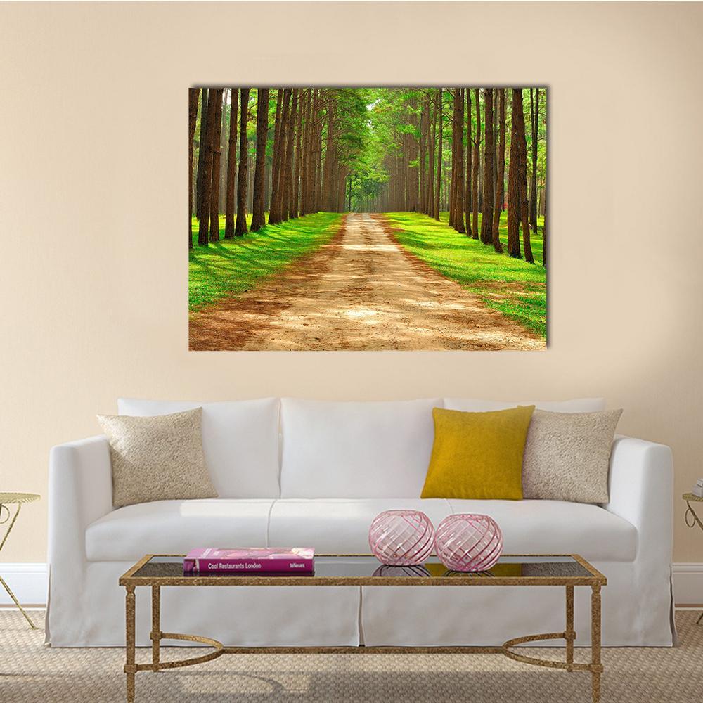 Pine Forest in Thailand Canvas Wall Art in brown and green, single panel hung on a wall