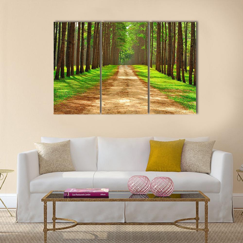 Pine Forest In Thailand Canvas Wall Art-3 Horizontal-Gallery Wrap-37" x 24"-Tiaracle