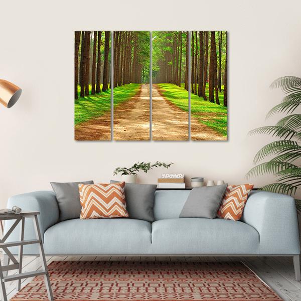 Pine Forest In Thailand Canvas Wall Art-4 Horizontal-Gallery Wrap-34" x 24"-Tiaracle