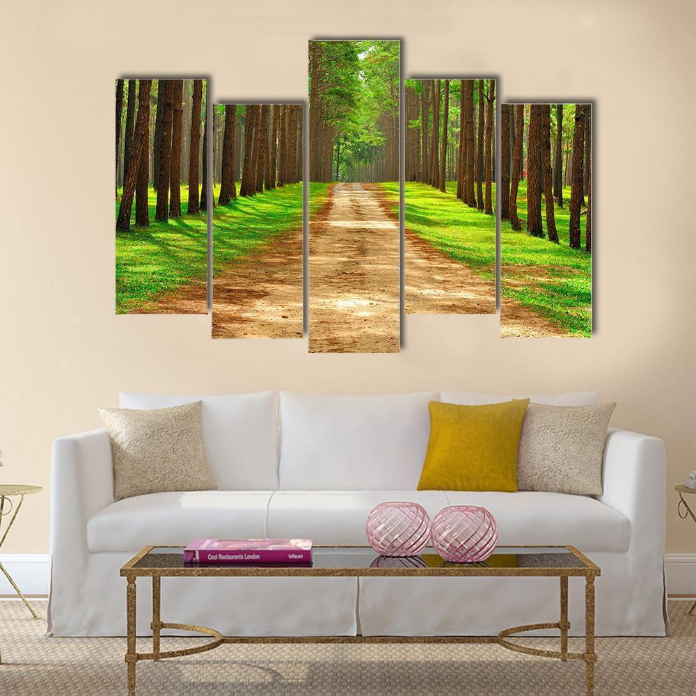 Pine Forest In Thailand Canvas Wall Art-5 Pop-Gallery Wrap-47" x 32"-Tiaracle