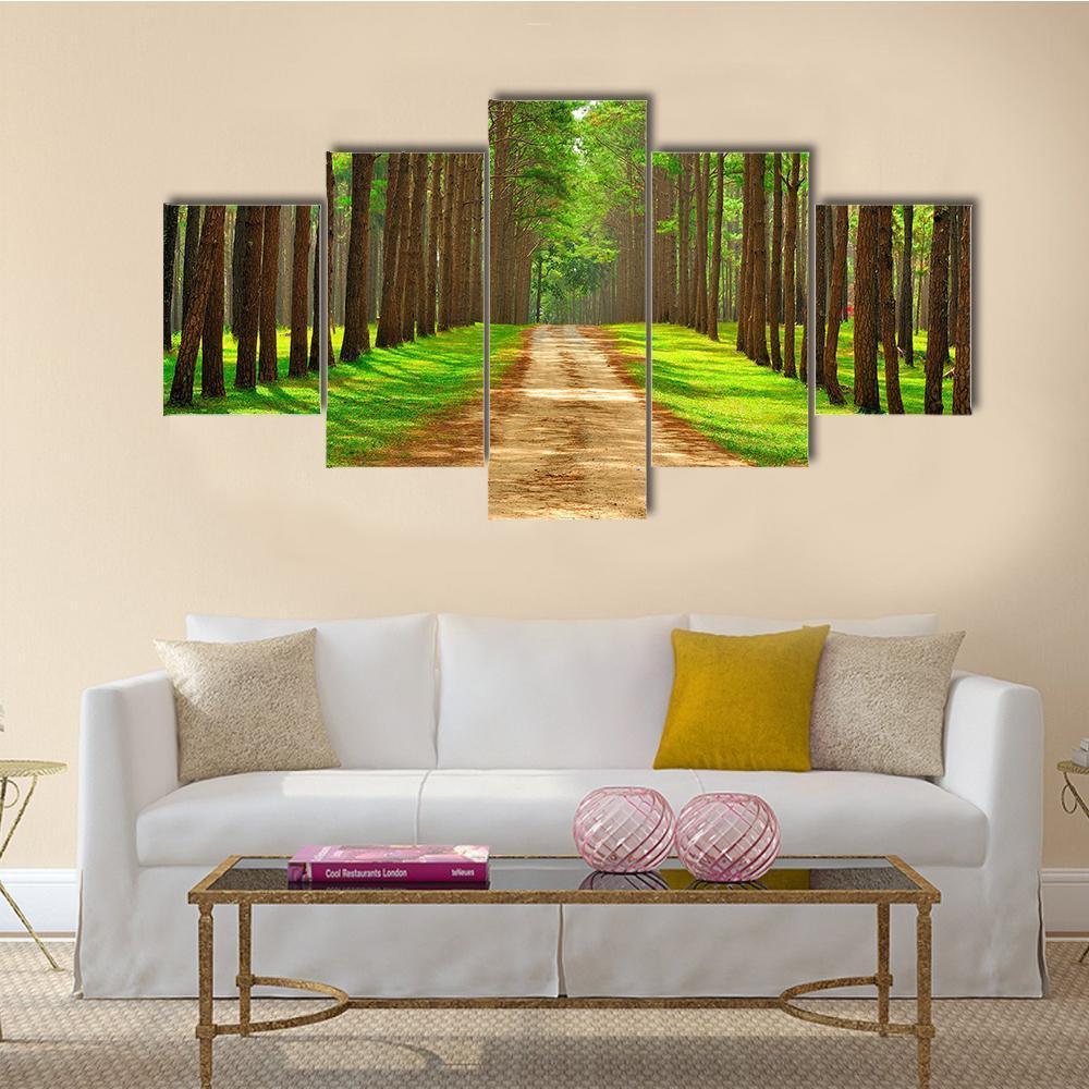 Pine Forest In Thailand Canvas Wall Art-5 Star-Gallery Wrap-62&quot; x 32&quot;-Tiaracle