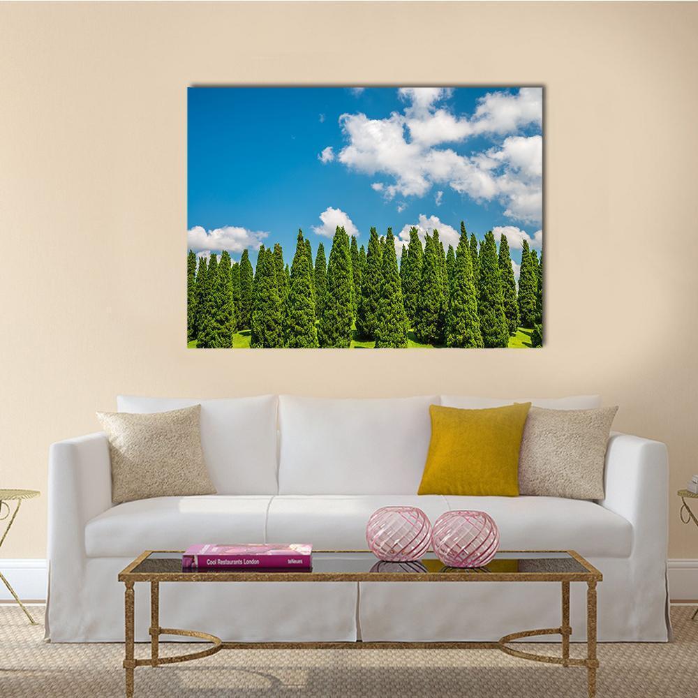 Pine Tree In Big Park Chiang Mai Canvas Wall Art-1 Piece-Gallery Wrap-48" x 32"-Tiaracle