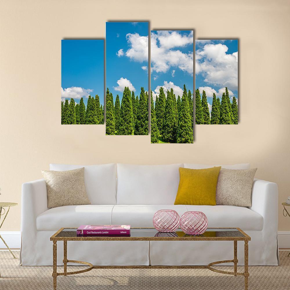 Pine Tree In Big Park Chiang Mai Canvas Wall Art-4 Pop-Gallery Wrap-50" x 32"-Tiaracle