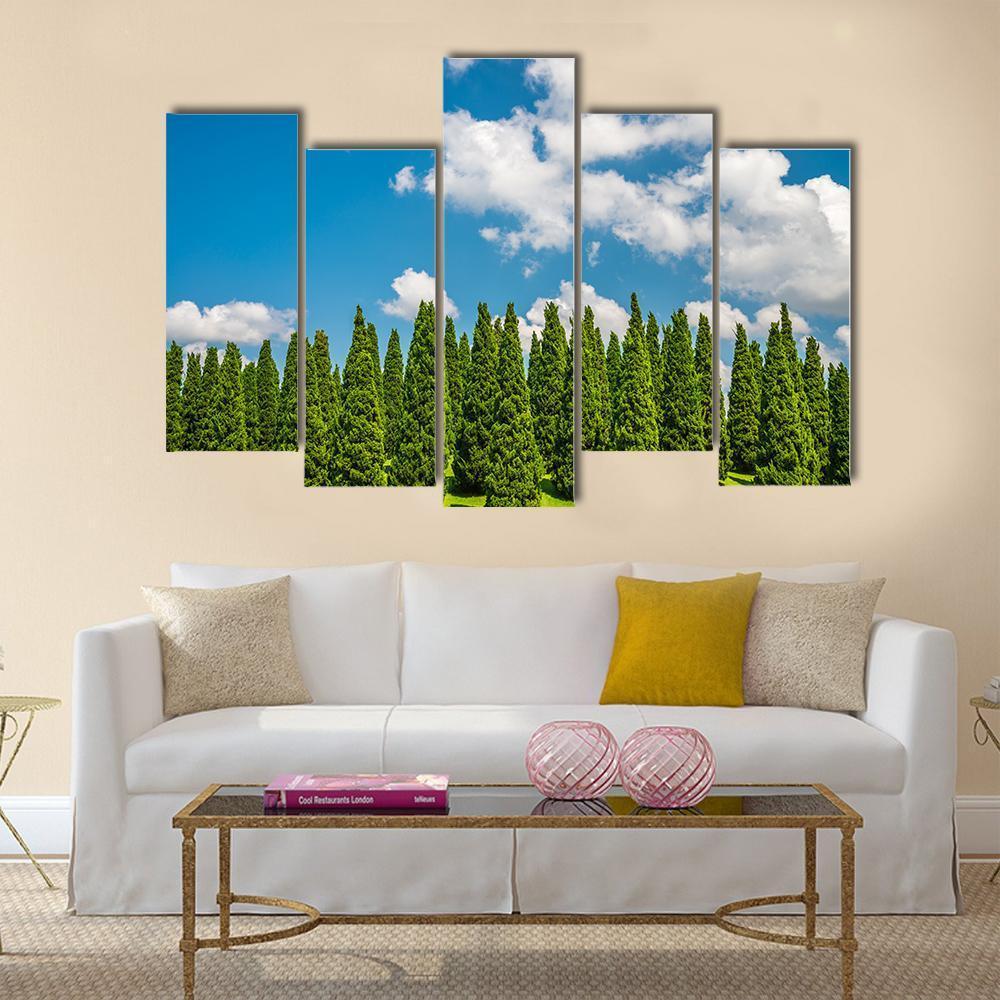 Pine Tree In Big Park Chiang Mai Canvas Wall Art-5 Pop-Gallery Wrap-47" x 32"-Tiaracle