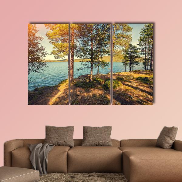 Pine Trees Near Sea In Finland Canvas Wall Art-3 Horizontal-Gallery Wrap-25" x 16"-Tiaracle