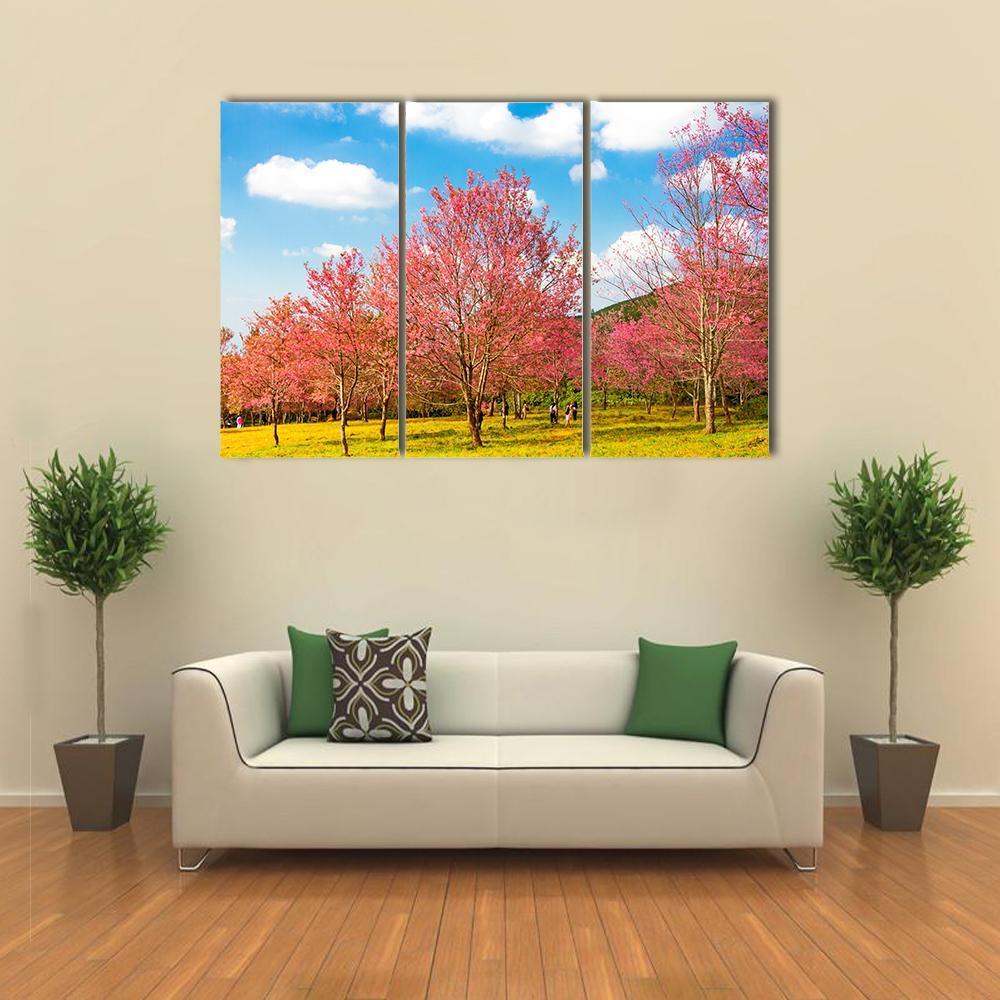 Pink Cherry Blossom Flower Canvas Wall Art-3 Horizontal-Gallery Wrap-37" x 24"-Tiaracle