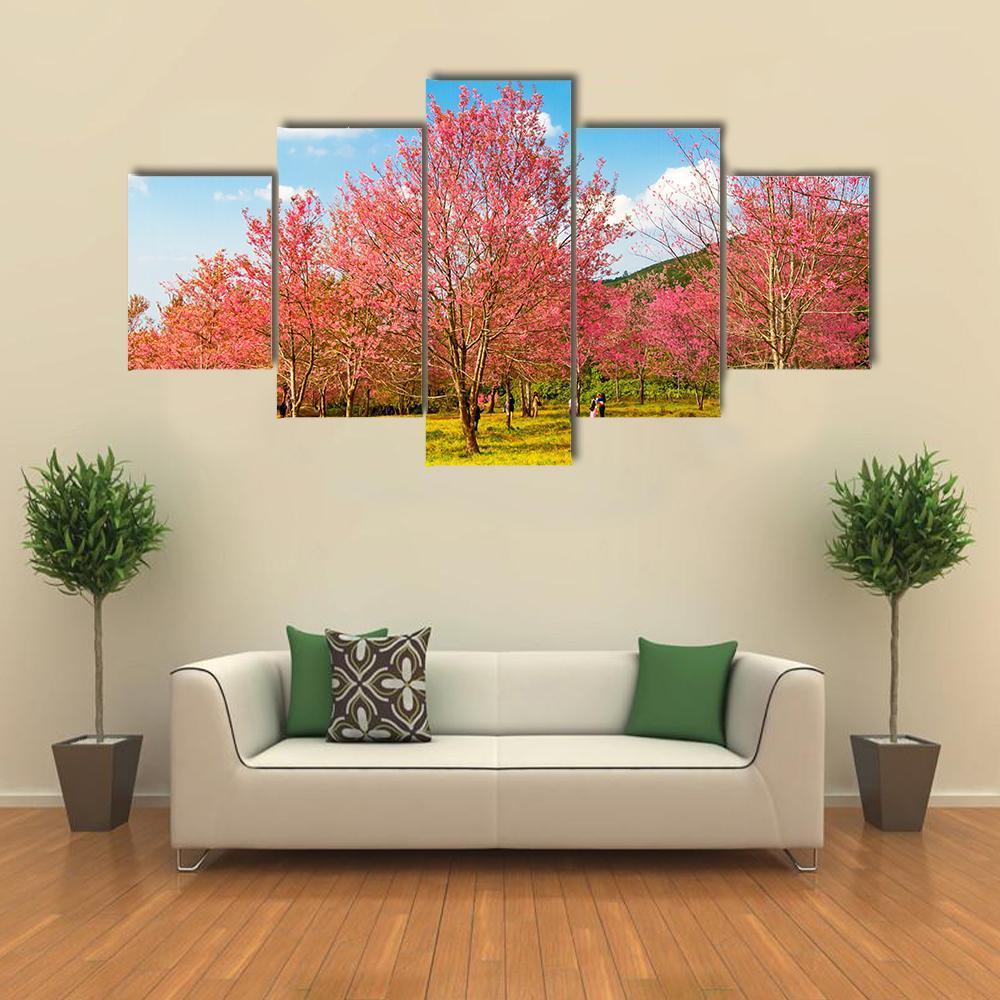 Pink Cherry Blossom Flower Canvas Wall Art-5 Star-Gallery Wrap-62" x 32"-Tiaracle