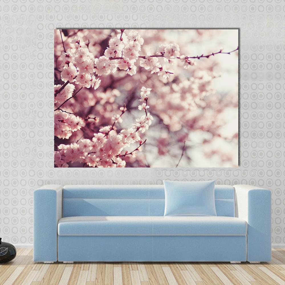 Pink Cherry Blossoms Flowers Canvas Wall Art in white and pink, single panel hung on a wall