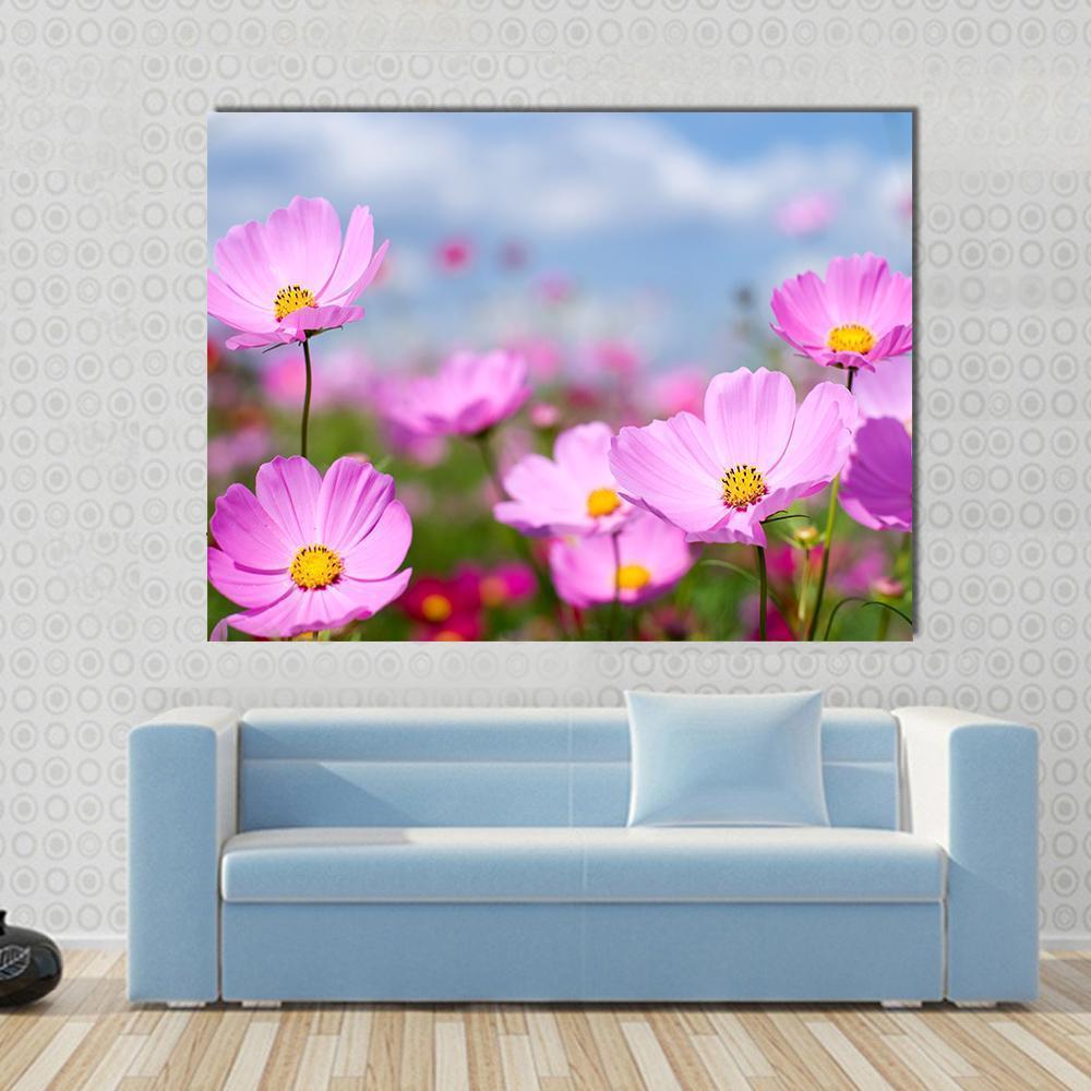 Pink Cosmos Field And Sky Canvas Wall Art-1 Piece-Gallery Wrap-48" x 32"-Tiaracle