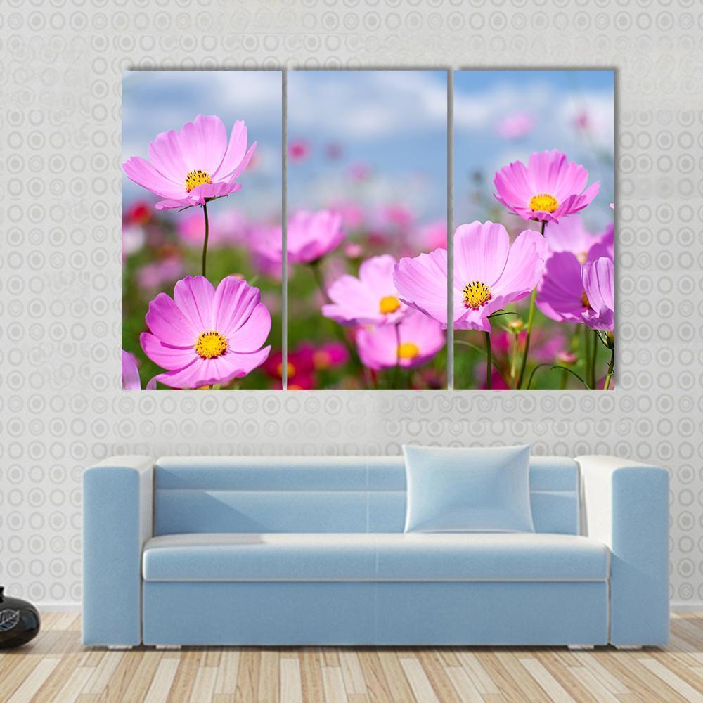 Pink Cosmos Field And Sky Canvas Wall Art-3 Horizontal-Gallery Wrap-37" x 24"-Tiaracle