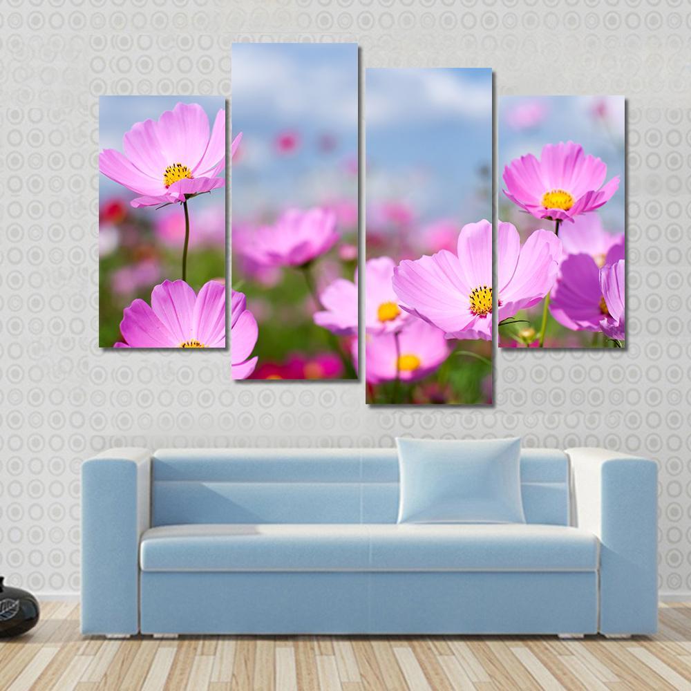 Pink Cosmos Field And Sky Canvas Wall Art-4 Pop-Gallery Wrap-50" x 32"-Tiaracle