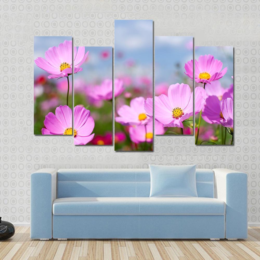 Pink Cosmos Field And Sky Canvas Wall Art-5 Pop-Gallery Wrap-47" x 32"-Tiaracle