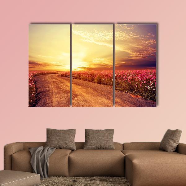 Pink Cosmos Flower Field Canvas Wall Art-3 Horizontal-Gallery Wrap-37" x 24"-Tiaracle