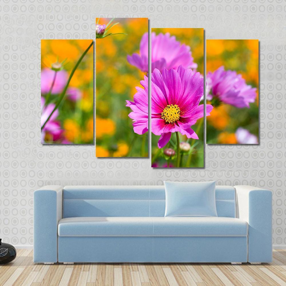 Pink Cosmos In The Flower Fields Canvas Wall Art-4 Pop-Gallery Wrap-50" x 32"-Tiaracle