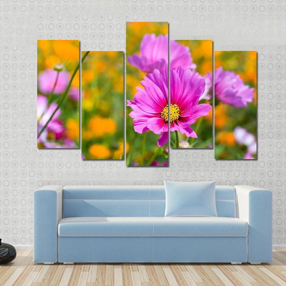 Pink Cosmos In The Flower Fields Canvas Wall Art-5 Pop-Gallery Wrap-47" x 32"-Tiaracle