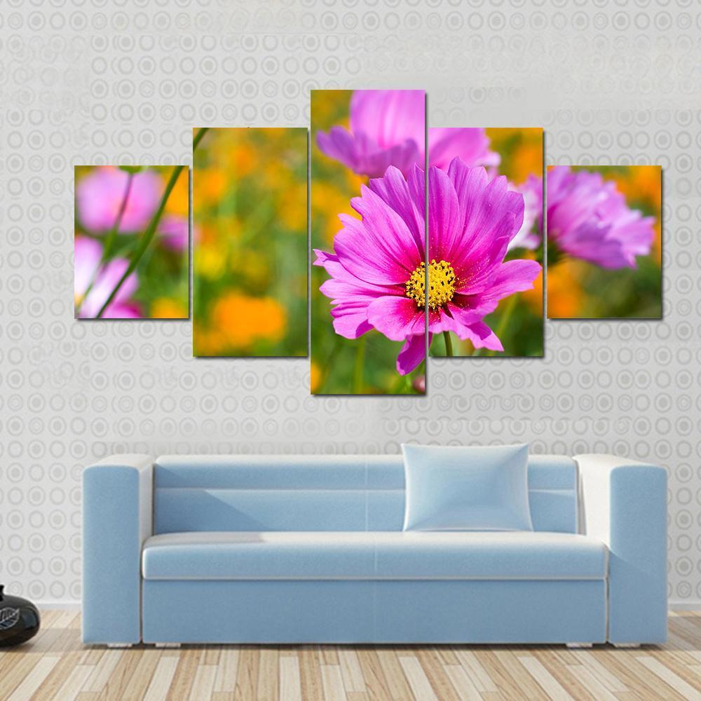 Pink Cosmos In The Flower Fields Canvas Wall Art-4 Pop-Gallery Wrap-50" x 32"-Tiaracle