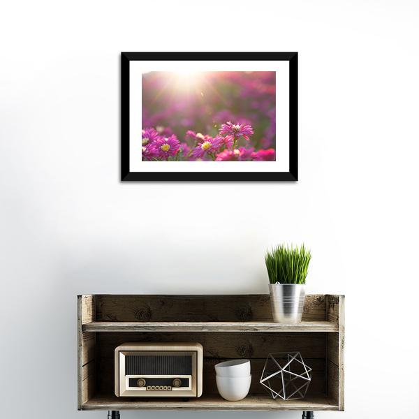 Pink Daisy Canvas Wall Art-3 Horizontal-Gallery Wrap-25" x 16"-Tiaracle
