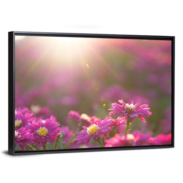 Pink Daisy Canvas Wall Art-3 Horizontal-Gallery Wrap-25" x 16"-Tiaracle