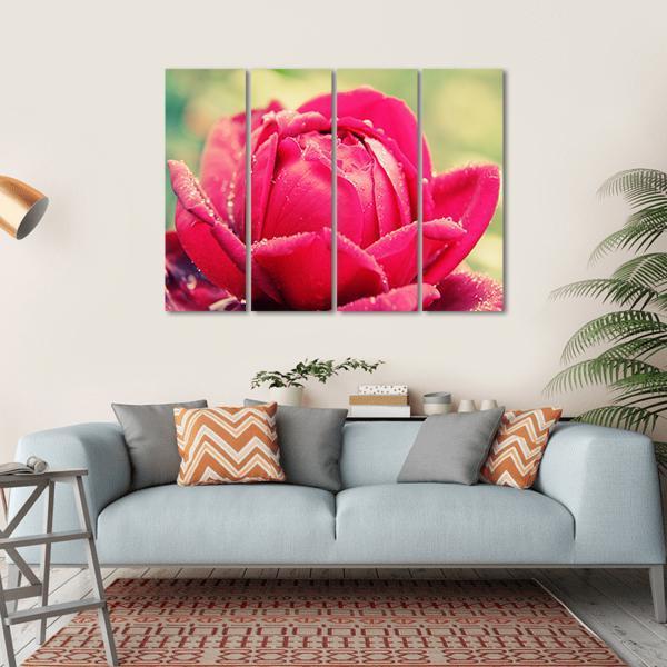 Close Up Of Flower Canvas Wall Art-4 Horizontal-Gallery Wrap-34" x 24"-Tiaracle