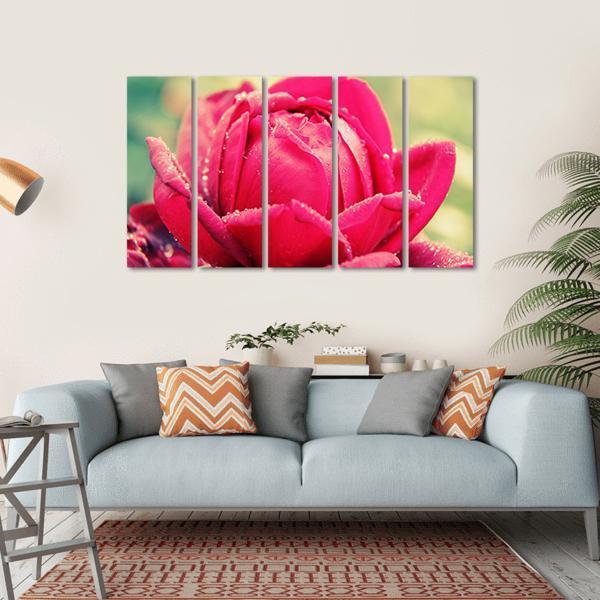 Close Up Of Flower Canvas Wall Art-5 Horizontal-Gallery Wrap-22" x 12"-Tiaracle