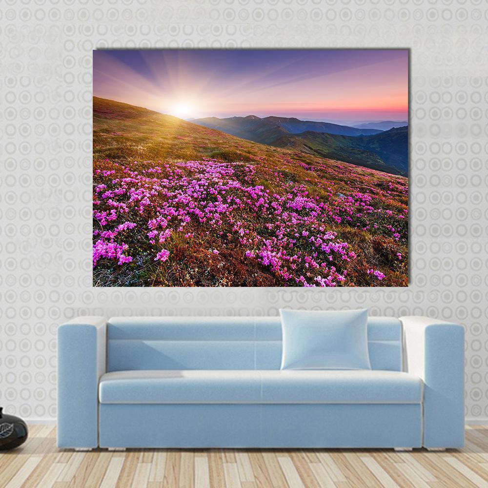 Pink Flowers On Mountain Canvas Wall Art-1 Piece-Gallery Wrap-36" x 24"-Tiaracle